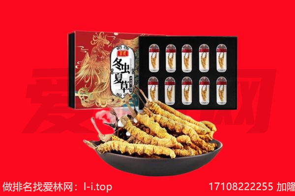 安阳市安阳回收虫草.jpg